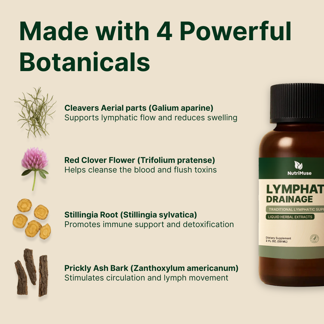 Feel Lighter and Fresher in as Little as 3 Days With NutriMuse
