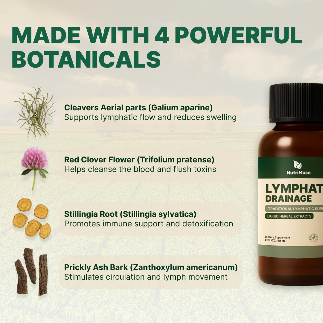 NutriMuse Lymphatic Drainage Drops