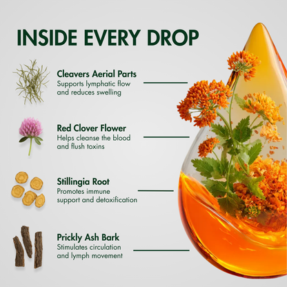 NutriMuse Lymphatic Drainage Drops