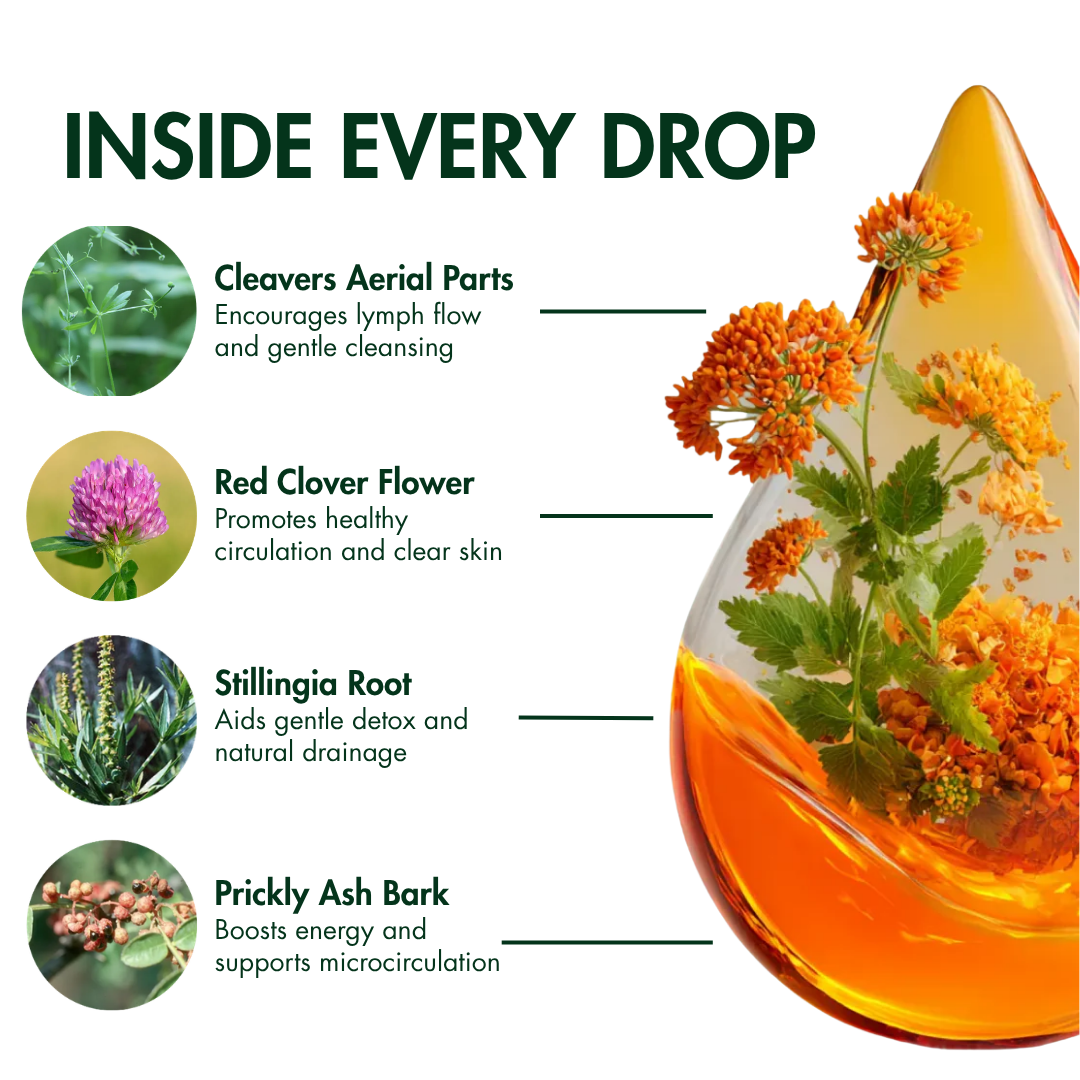NutriMuse Lymphatic Drops
