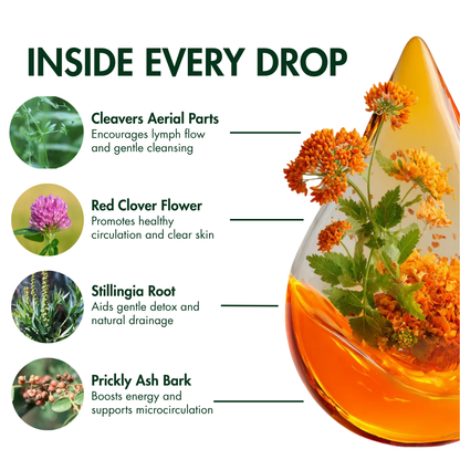 NutriMuse Lymphatic Drops